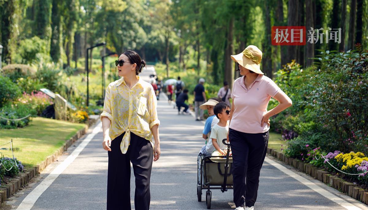 多宝游戏盒子